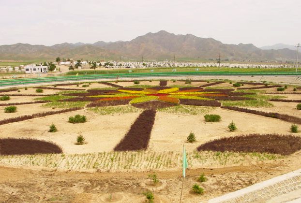 山東菲博瑞德新材料有限公司